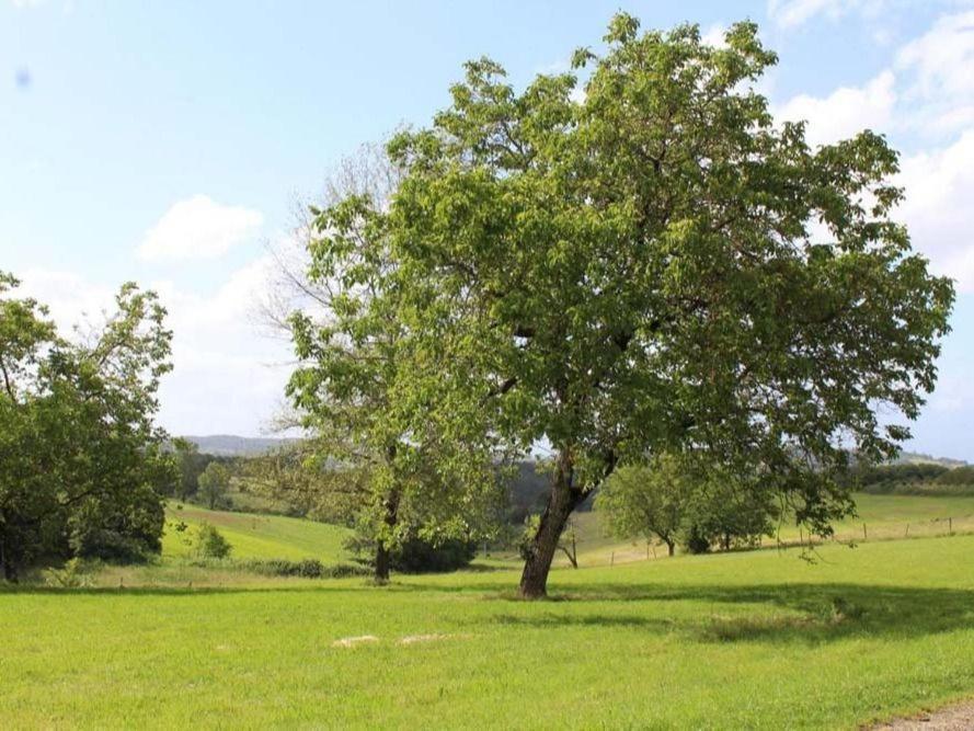 Bed and Breakfast Domaine de Pech Mortier Marcillac-Saint-Quentin Exterior foto